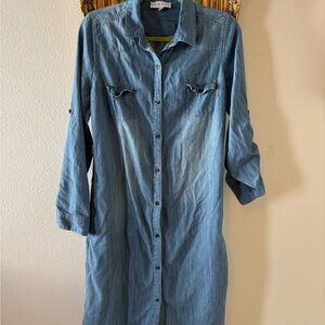 Kabana Denim Button-Up Dress